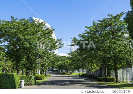 Yokohama Minato Mirai's Lincoln Park Yokohama Minato Mirai's Lincoln Park 16631509