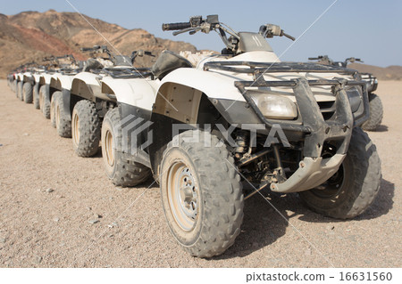 quad bikes in a row quad bikes in a row 16631560