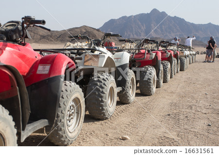 quad bikes in a row quad bikes in a row 16631561