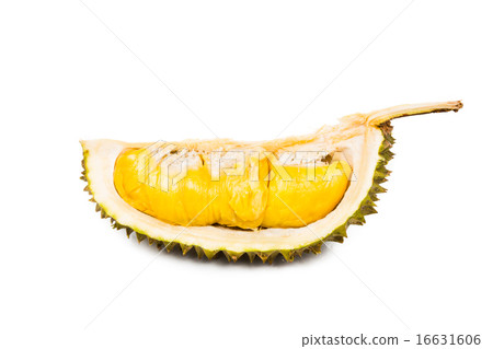 Fresh durian fruit with aromatic yellow soft flesh 16631606