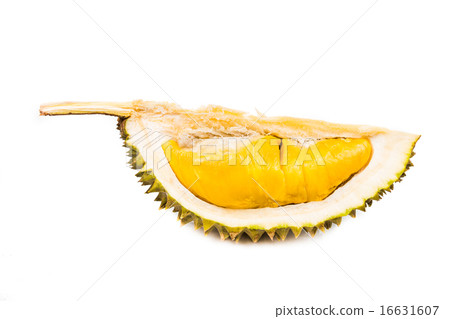 Fresh durian fruit with aromatic yellow soft flesh Fresh durian fruit with aromatic yellow soft flesh 16631607