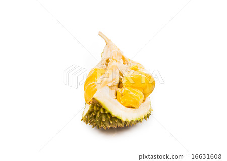 Fresh durian fruit with aromatic yellow soft flesh Fresh durian fruit with aromatic yellow soft flesh 16631608