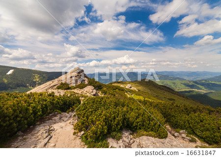 panorama view of the mountains and cliffs panorama view of the mountains and cliffs 16631847