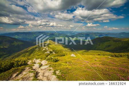 Beautiful mountains landscape in Carpathian Beautiful mountains landscape in Carpathian 16631924