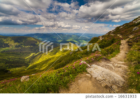 Beautiful mountains landscape in Carpathian Beautiful mountains landscape in Carpathian 16631933