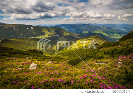 Beautiful mountains landscape in Carpathian Beautiful mountains landscape in Carpathian 16631934