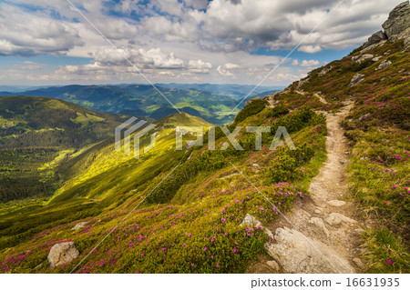 Beautiful mountains landscape in Carpathian Beautiful mountains landscape in Carpathian 16631935