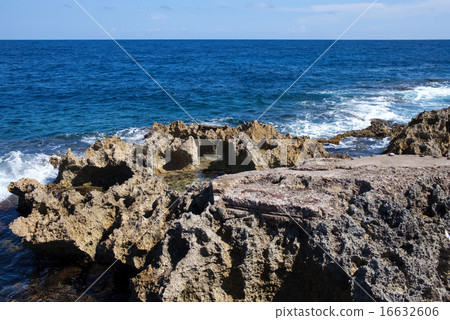 The coast from corals. Jamaica. 16632606