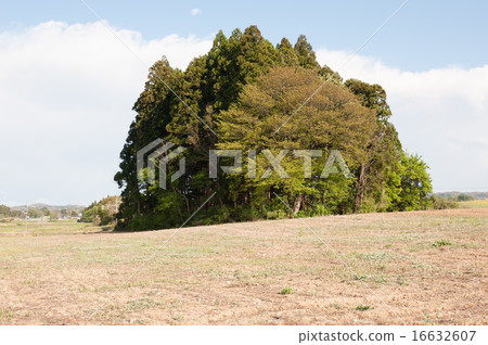 Hironosu no Mori Hironosu no Mori 16632607
