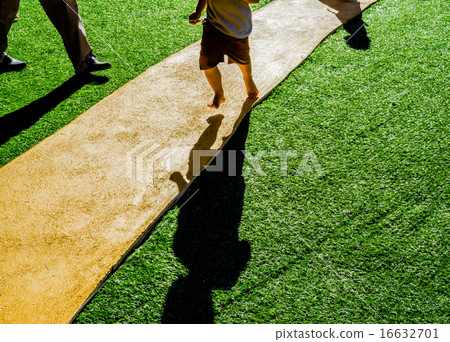 image of Artificial grass path way . 16632701