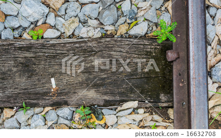 train track, spike, and wooden railroad tie. 16632708