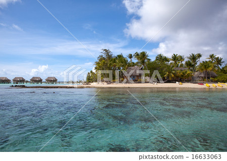 seacoast with palm trees and small houses on water 16633063