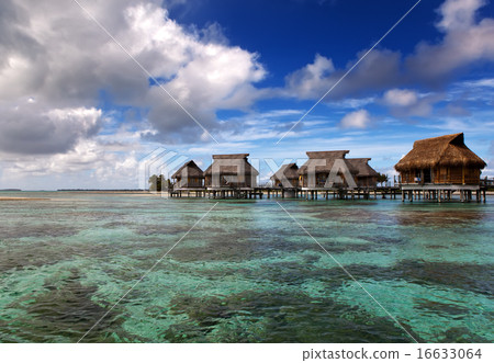 Lodges over transparent quiet sea water- tropical  16633064
