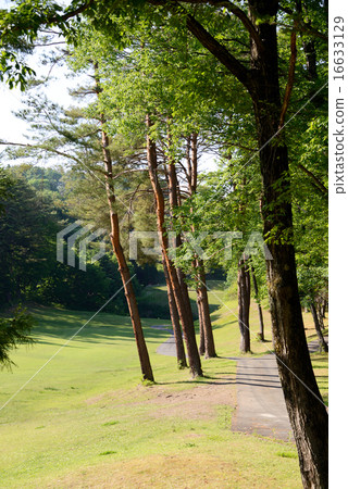Gunma Prefecture Golf Course Gunma Prefecture Golf Course 16633129