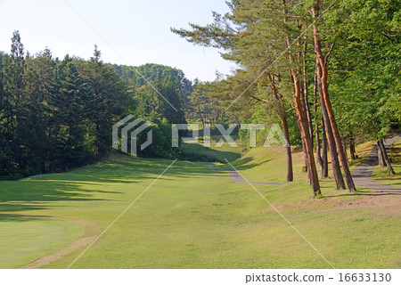 Gunma Prefecture Golf Course 16633130