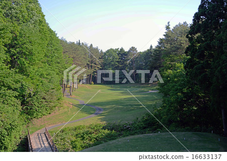 Gunma Prefecture Golf Course 16633137