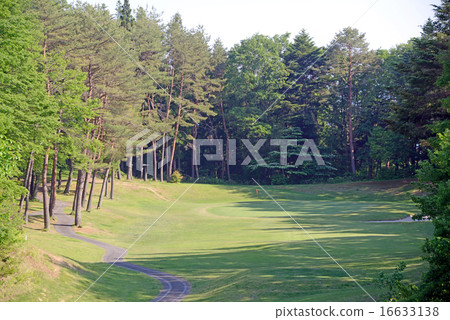 群馬縣高爾夫球場 16633138
