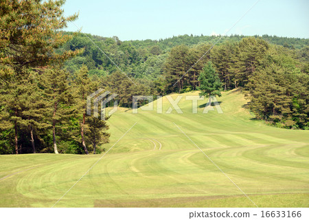 群馬縣高爾夫球場 16633166