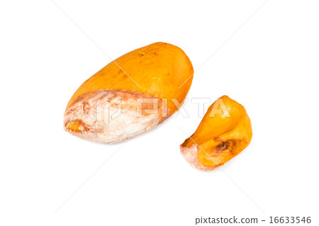 Comparison between big against small durian seeds Comparison between big against small durian seeds 16633546