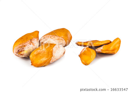 Comparison between big against small durian seeds 16633547