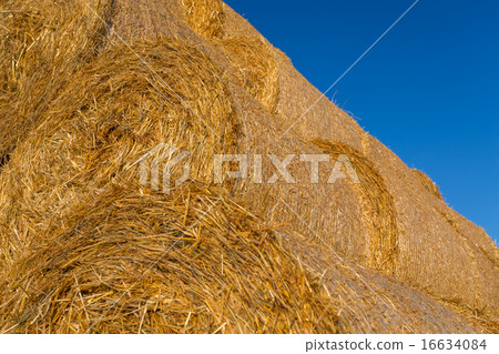 Piled hay bales on a field against blue sky 16634084