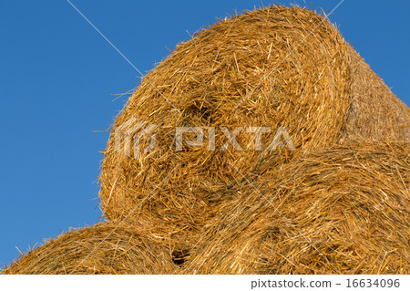Piled hay bales on a field against blue sky Piled hay bales on a field against blue sky 16634096