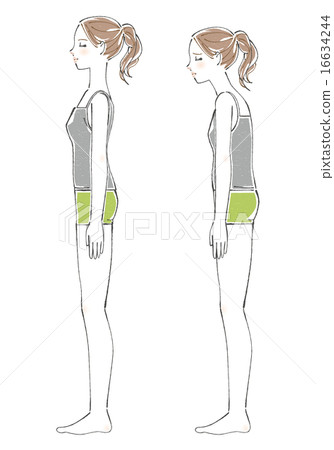 姿勢圖比較(女性) 姿勢圖比較(女性) 16634244