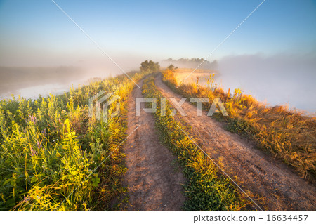 Fantastic foggy river with fresh green grass 16634457