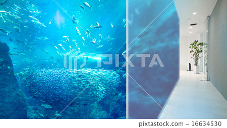 辦公室圖像Marine Marine 辦公室圖像Marine Marine 16634530