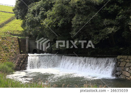 Mitsuno Pond（Futomon Front）的Undouglass 16635039