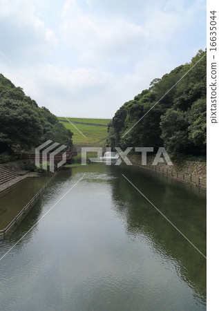 Dango在Pondoke池塘和波浪起伏 16635044
