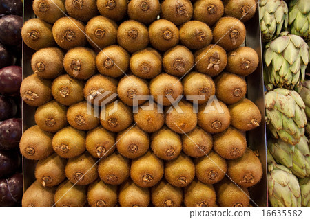 Kiwi Fruits 16635582