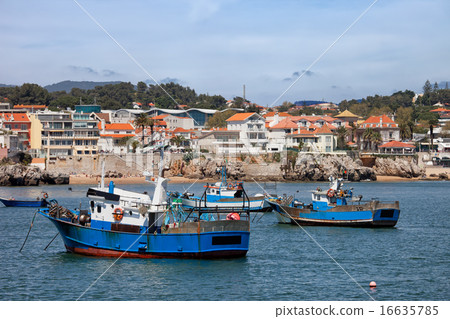 Fishing Boats in Cascais 16635785