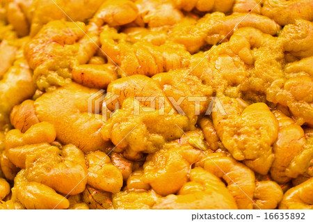 Fish roe 16635892