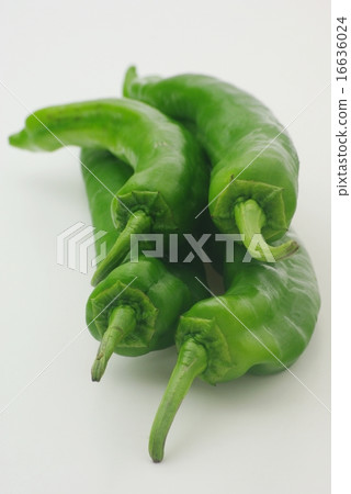 Manshakuji red pepper 16636024