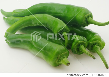 Manshakuji red pepper 16636025