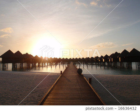 Maldives Maldives 16636432