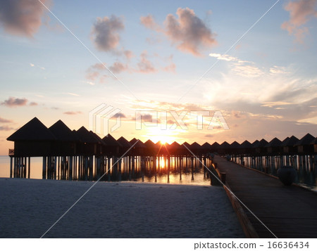 Maldives Maldives 16636434