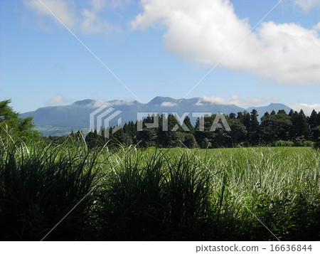 Kuju山脈夏天 Kuju山脈夏天 16636844