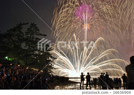 Miyima fireworks 16636909