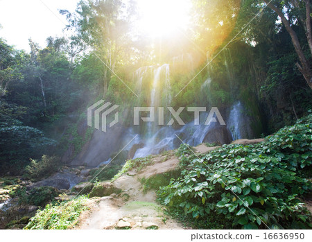 Soroa waterfall, Pinar del Rio, Cuba Soroa waterfall, Pinar del Rio, Cuba 16636950
