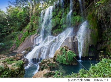 Soroa waterfall, Pinar del Rio, Cuba 16636951