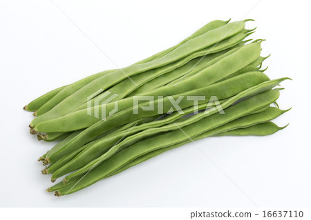 Moroccan bean 16637110