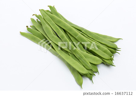 Moroccan bean 16637112