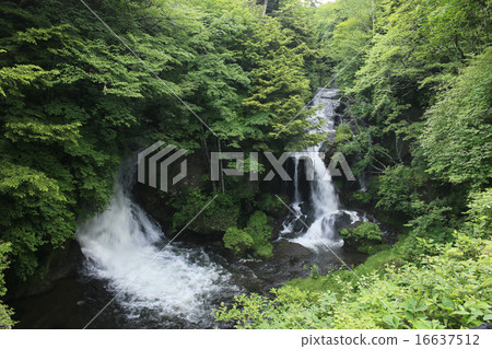 栃木縣日光市Ryuu Taki秋天7月 16637512