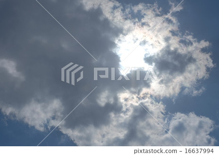 從雲端 16637994