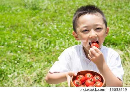 Child smiling face level standard horizontal with a dish to favorite mini tomato Child smiling face level standard horizontal with a dish to favorite mini tomato 16638229