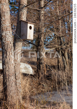 Waterfowl birdhouse on tree Waterfowl birdhouse on tree 16638235