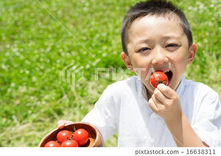 Children smiling up to mini tomato favorite with dishes Up level horizontal standard Children smiling up to mini tomato favorite with dishes Up level horizontal standard 16638311
