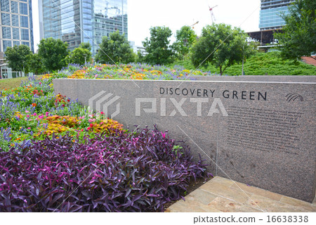 休斯頓探索綠色 16638338